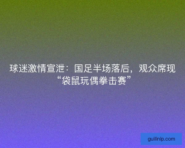 球迷激情宣泄：国足半场落后，观众席现 “袋鼠玩偶拳击赛”